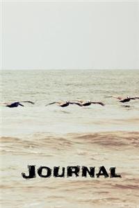 Journal