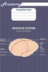Anatomy composition book