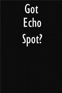 Got Echo Spot?