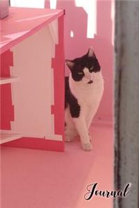 Kitty in Pink Journal