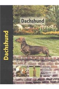 Pet Love Dachshund