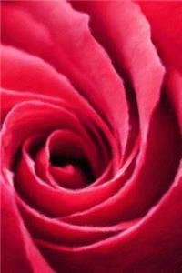Red Rose - Lined Notebook with Margins