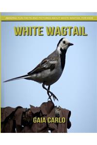 White Wagtail