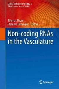 Non-Coding Rnas in the Vasculature