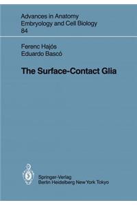 Surface-Contact Glia