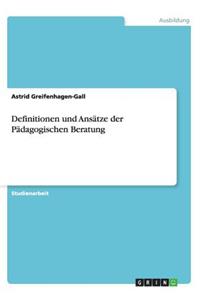 Definitionen und Ansätze der Pädagogischen Beratung
