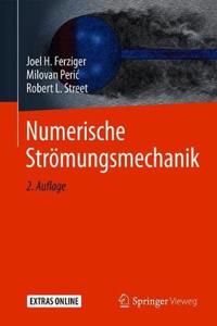 Numerische Strömungsmechanik