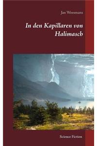 In den Kapillaren von Halimasch