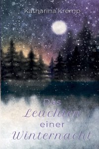 Das Leuchten einer Winternacht