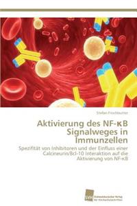 Aktivierung des NF-κB Signalweges in Immunzellen