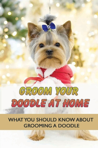 Groom Your Doodle At Home
