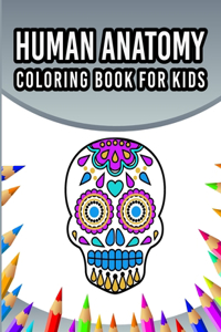 Human Anatomy Coloring Book For Kids