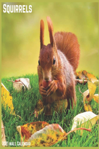 Squirrels 2021 Wall Calendar