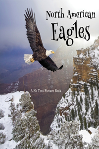 North American Eagles, A No Text Picture Book