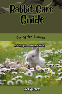 Rabbit Care Guide