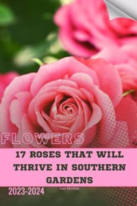 17 Roses That Will Thrive in Southern Gardens