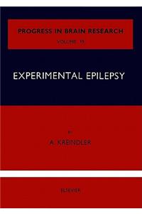 Experimental Epilepsy