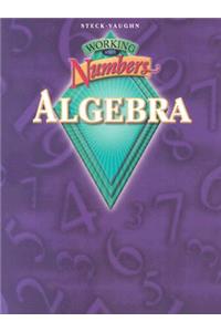 Working with Numbers: Algebra