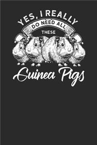 Yes I Really Do Need All These Guinea Pigs
