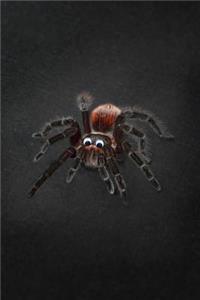 Spider Notebook