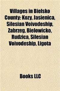 Villages in Bielsko County