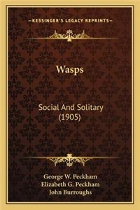 Wasps