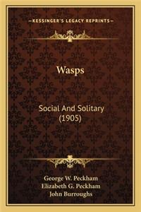 Wasps