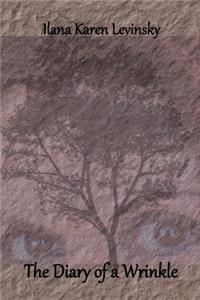 The Diary of a Wrinkle