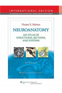 Neuroanatomy