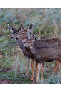 Adult Mule Deer Leftie Journal