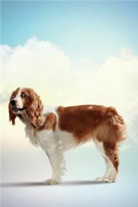 Funny Dog February Notebook & Journal. Productivity Work Planner & Idea Notepad