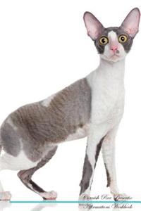 Cornish Rex Affirmations Workbook Cornish Rex Presents