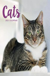 2023 Cats Wiro Wall Calendar