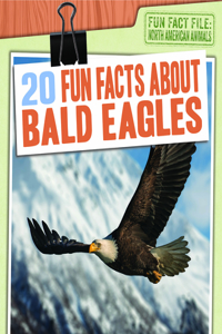 20 Fun Facts about Bald Eagles