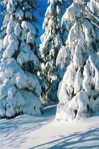 Journal Snow Covered Evergreens