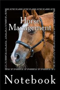 Horse Management