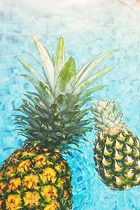 Pineapple Journal