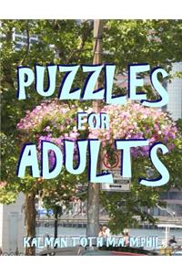 Puzzles for Adults