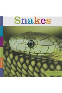 Snakes