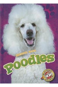 Poodles