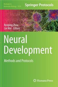 Neural Development