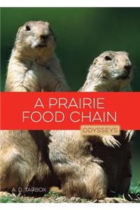 Prairie Food Chain