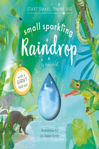 Small Sparkling Raindrop (Start Small, Think Big #5)