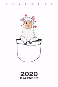 Lama in Tasche Kalender 2020
