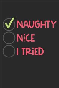 naughty nice i tried Cute Notebook Birthday Gift