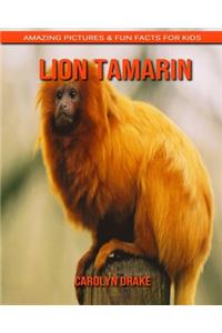 Lion Tamarin