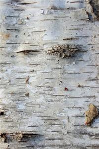 2020 Daily Planner Old Birch Bark Photo 388 Pages