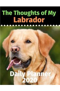 The Thoughts of My Labrador