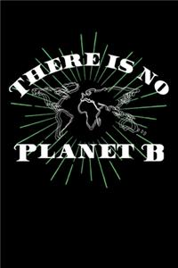 There is no Planet B
