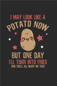 I may look like a potato Humor Notebook